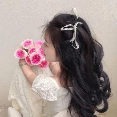 汪洋大盗 海报
